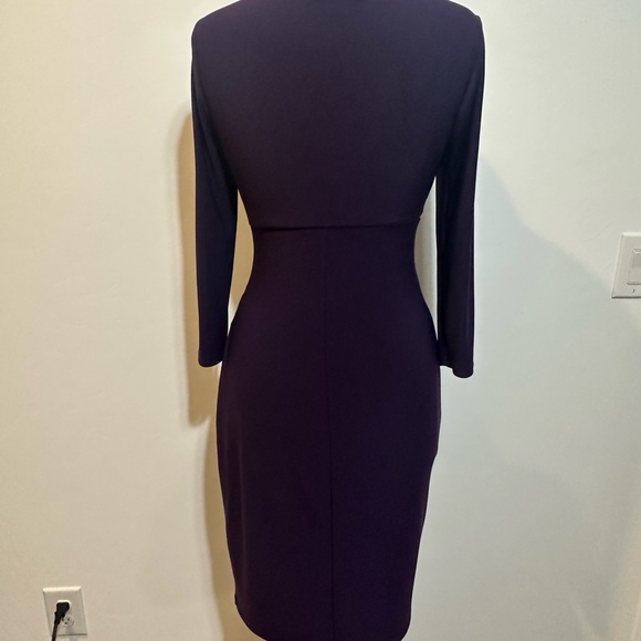 Ralph Lauren Deep Purple Long Sleeve Dress - Picture 3 of 7